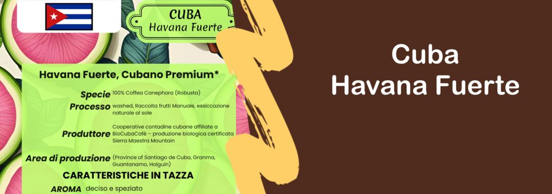 copertina cuba havana fuerte